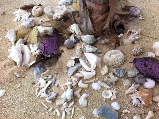Treasures washed ashore.