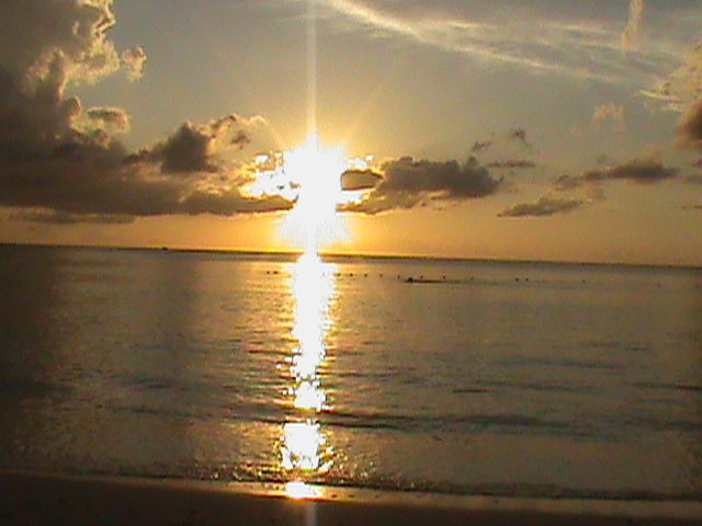 Shining bright until tomorrow