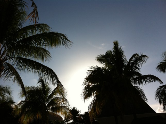 And then the light starts to fade